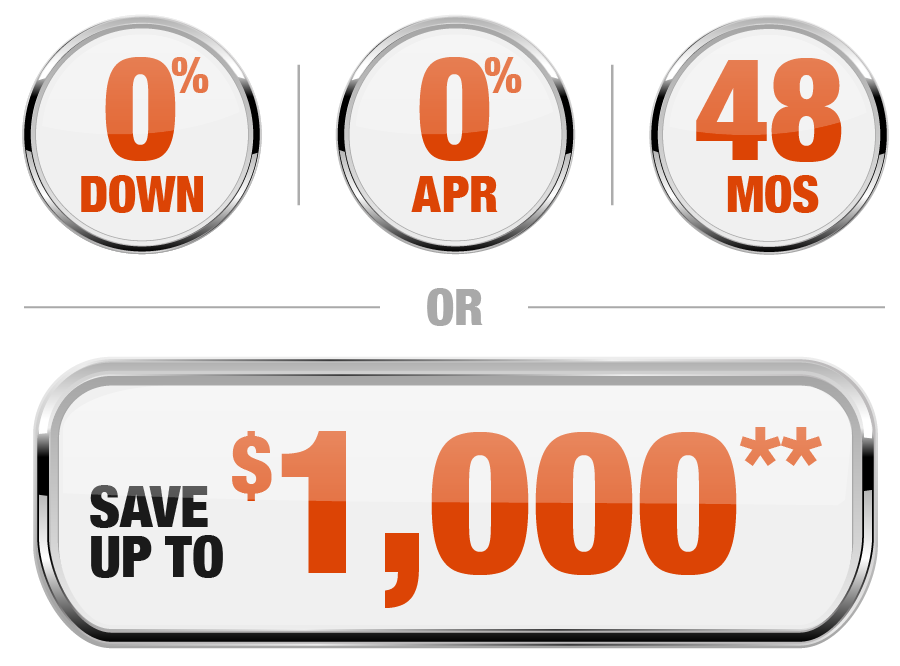 0 0 48 Offer Badge